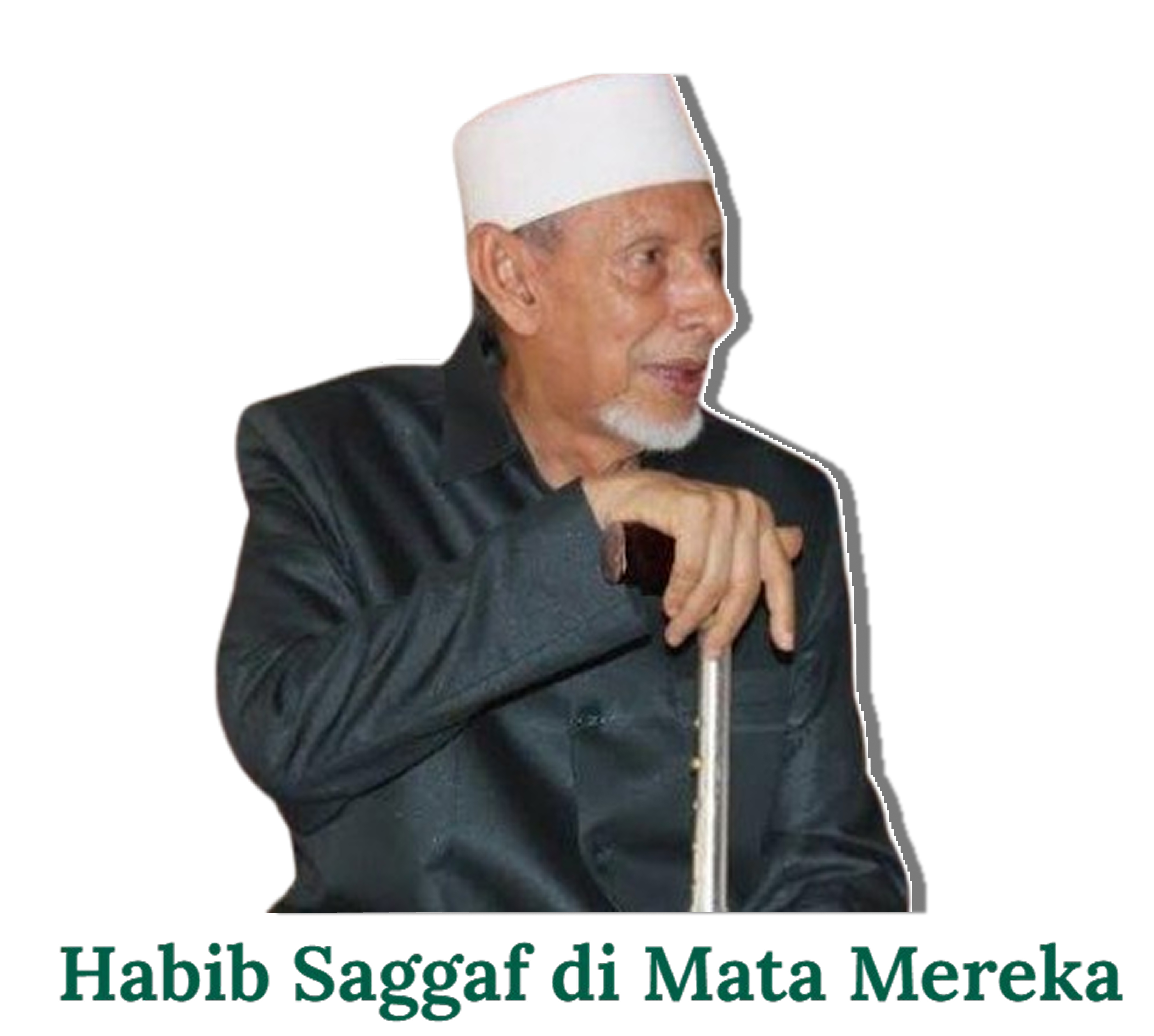 Habib Saggaf Aljufri
